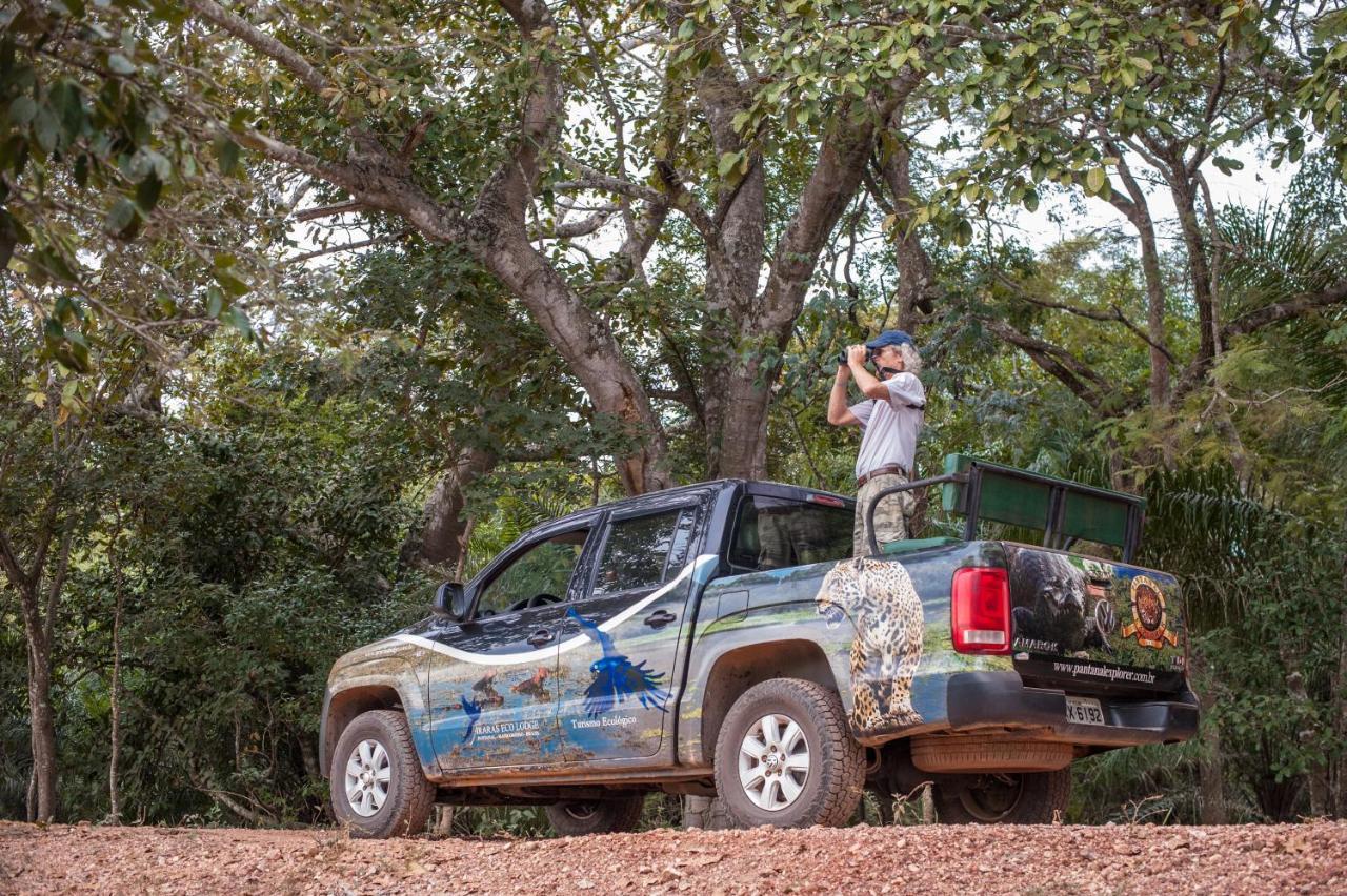 Pousada Araras Pantanal Eco Lodge Carvoalzinho Zewnętrze zdjęcie