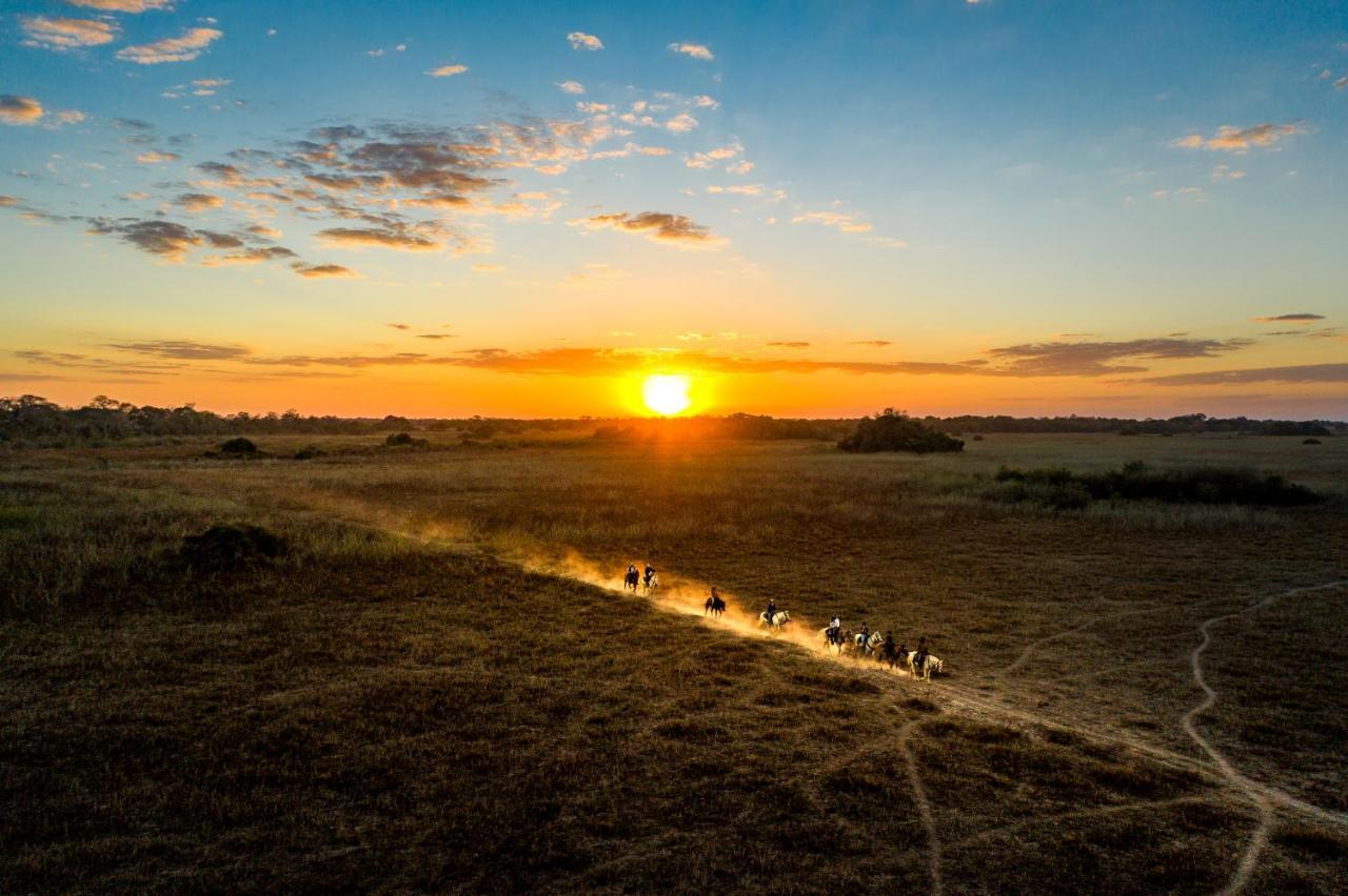 Pousada Araras Pantanal Eco Lodge Carvoalzinho Zewnętrze zdjęcie