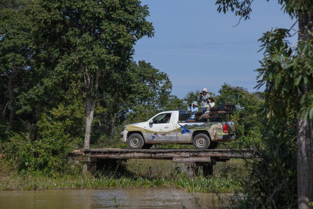 Pousada Araras Pantanal Eco Lodge Carvoalzinho Zewnętrze zdjęcie