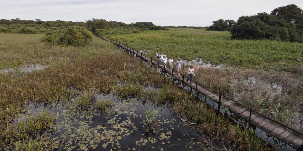 Pousada Araras Pantanal Eco Lodge Carvoalzinho Zewnętrze zdjęcie